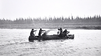 Cree men pull in a small beluga or seal