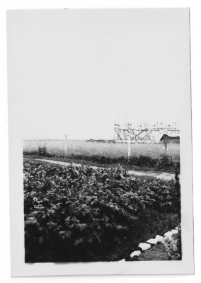 Farm fields at Moose Factory