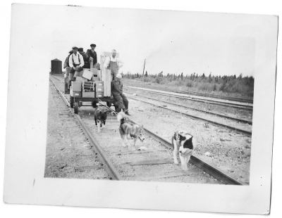 Railway car being pulled by sled dogs
