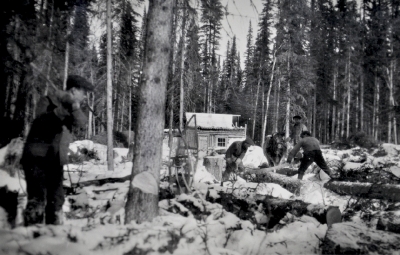 Men chopping and sawing logs