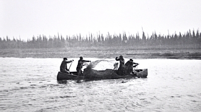 Cree men pull in a small beluga or seal