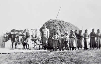 Mission worker and Cree people leading harnessed cows 