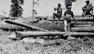 Men working with logs