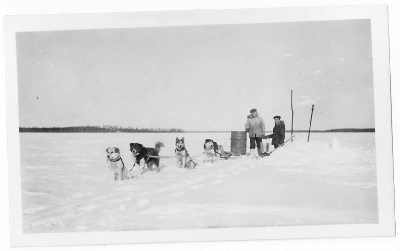 Sled dogs taking a rest with two people